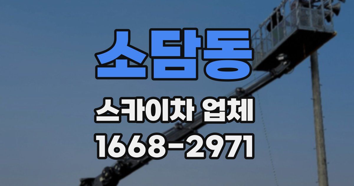 소담동 스카이차 업체