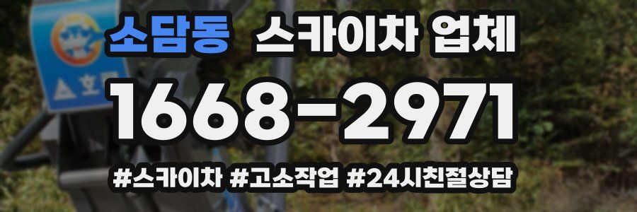 소담동 스카이차 업체