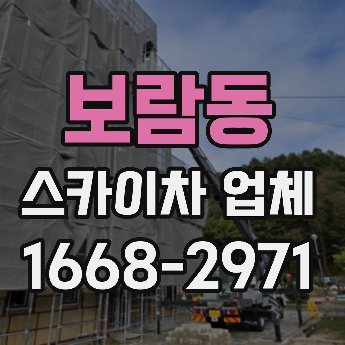 보람동 스카이차 업체