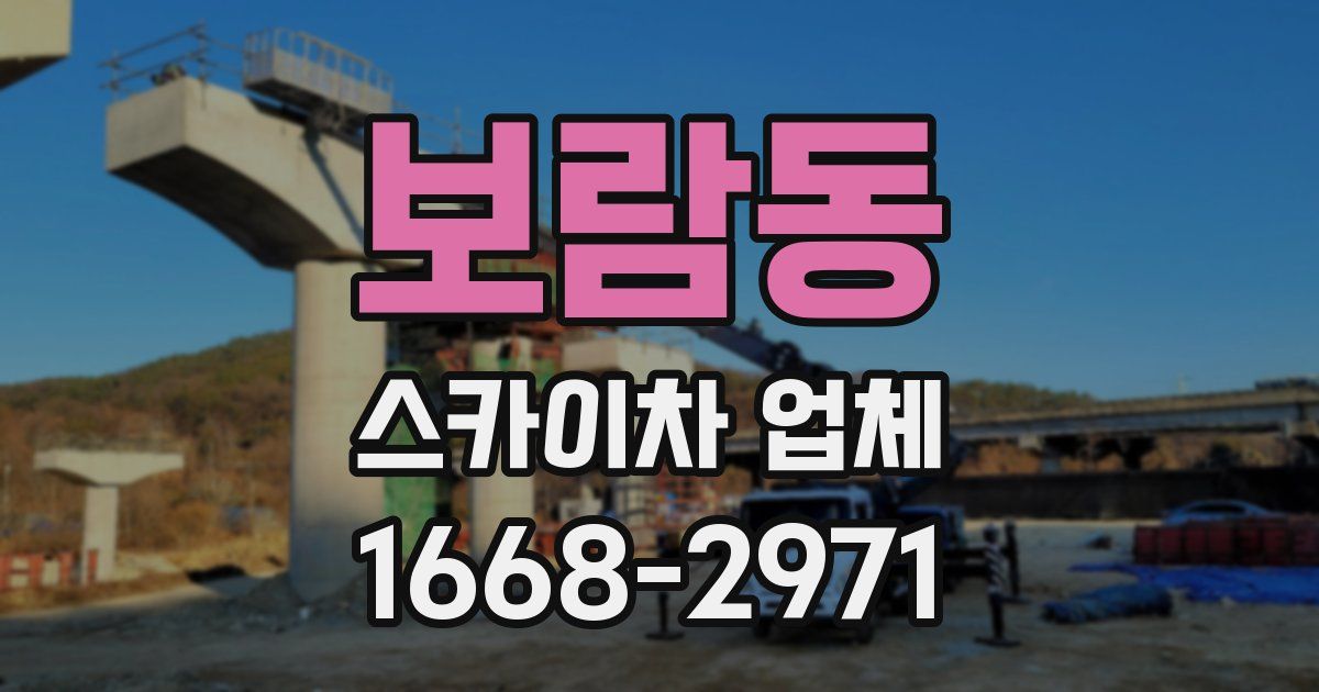 보람동 스카이차 업체