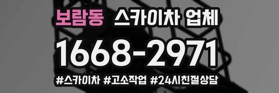 보람동 스카이차 업체