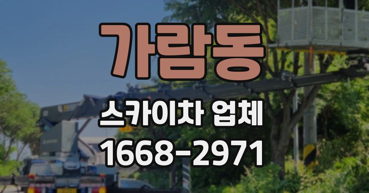 가람동 스카이차 업체