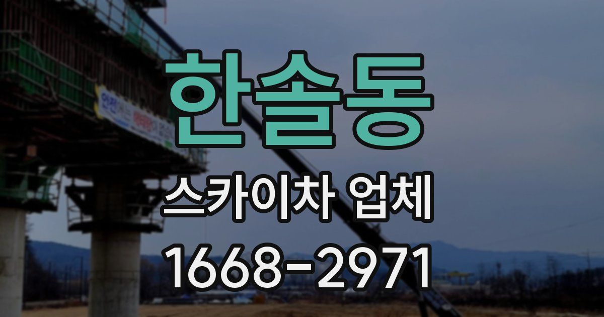 한솔동 스카이차 업체