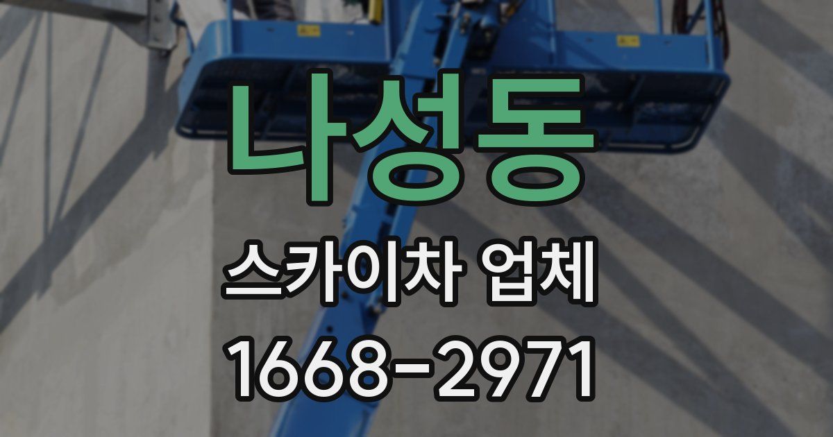 나성동 스카이차 업체