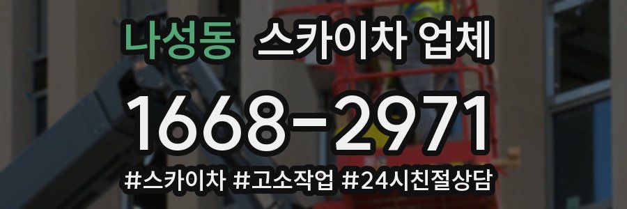나성동 스카이차 업체