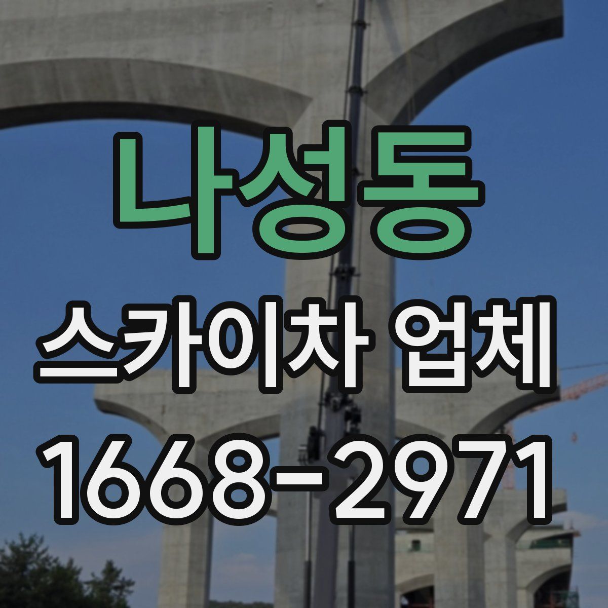 나성동 스카이차 업체