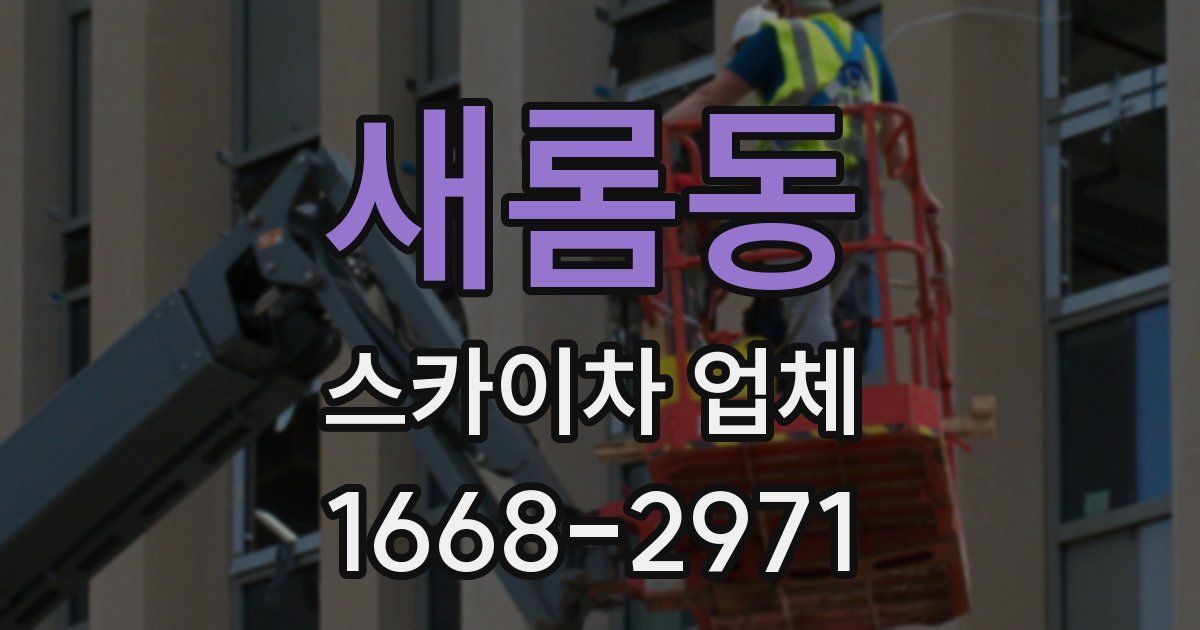 새롬동 스카이차 업체