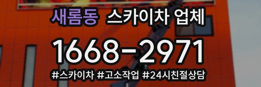 새롬동 스카이차 업체