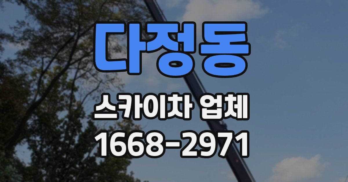 다정동 스카이차 업체