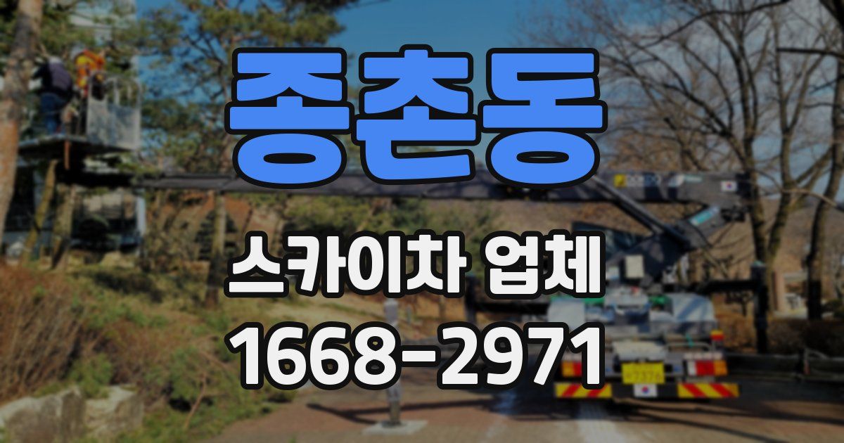 종촌동 스카이차 업체