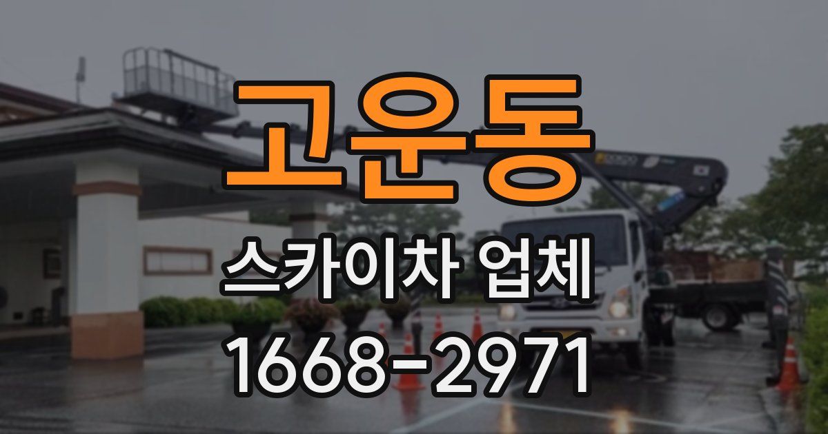 고운동 스카이차 업체