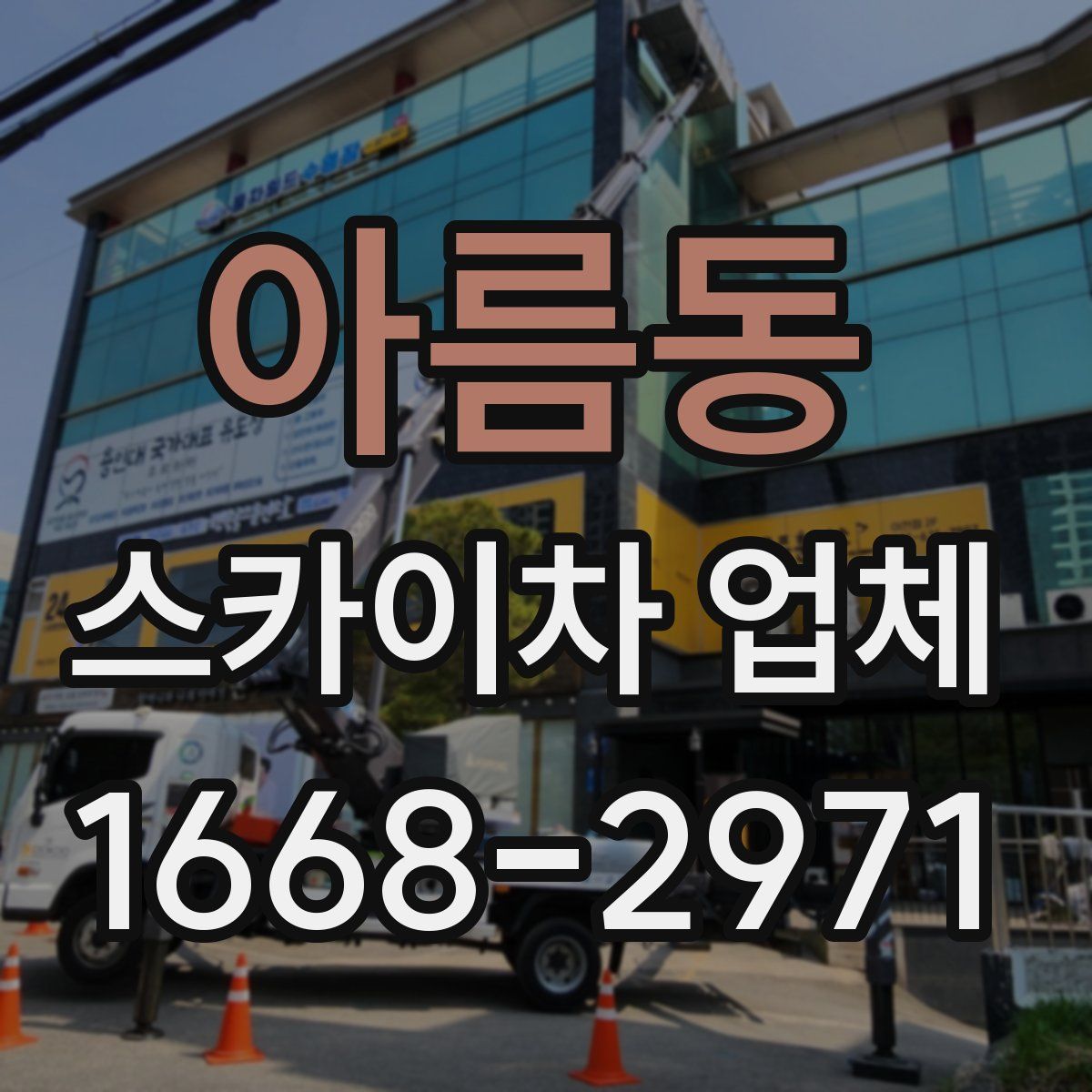 아름동 스카이차 업체