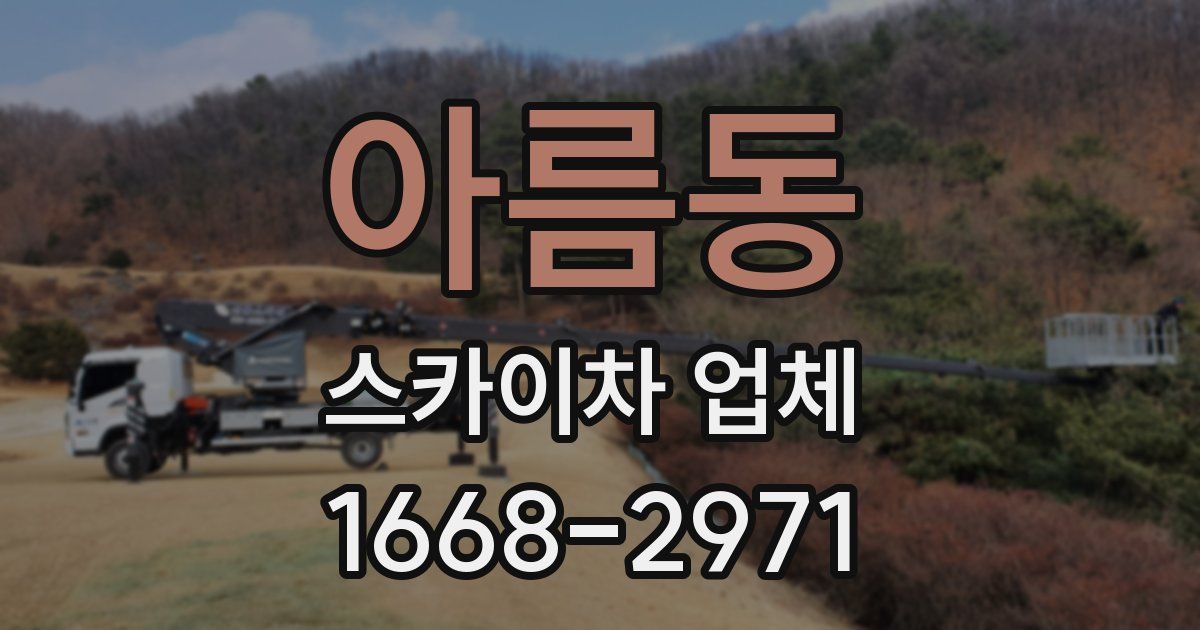 아름동 스카이차 업체