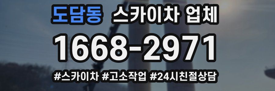 도담동 스카이차 업체