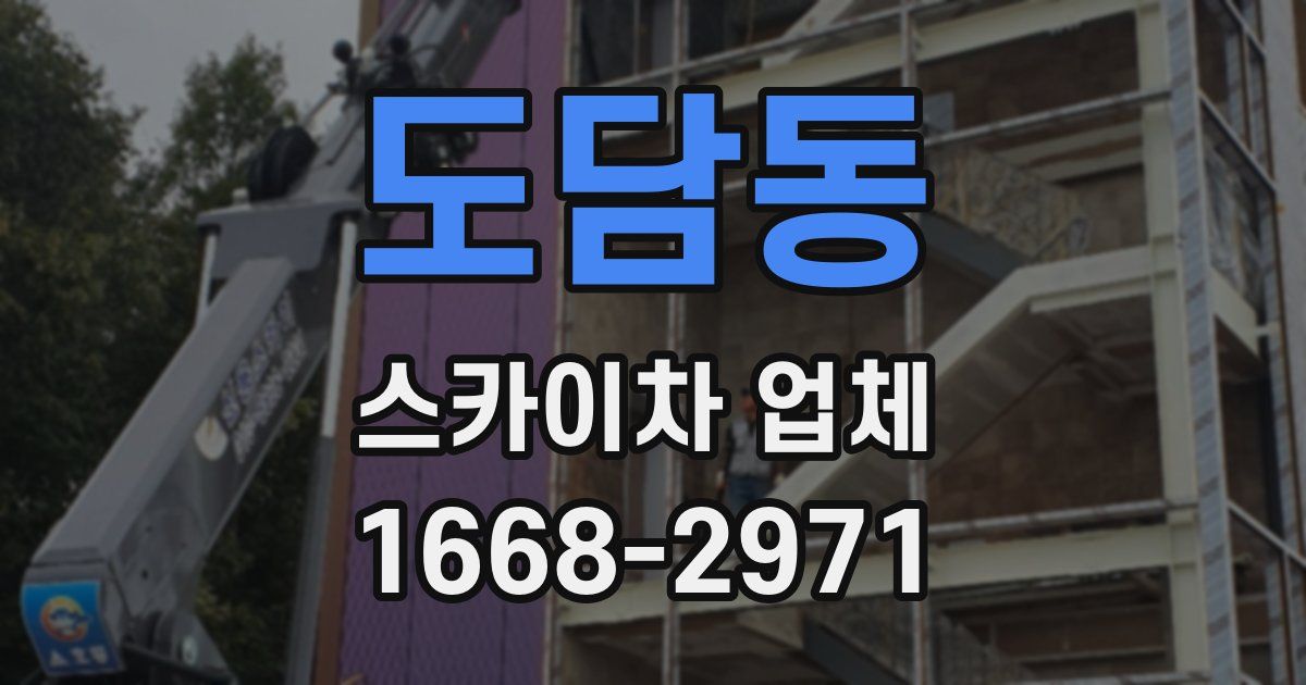 도담동 스카이차 업체