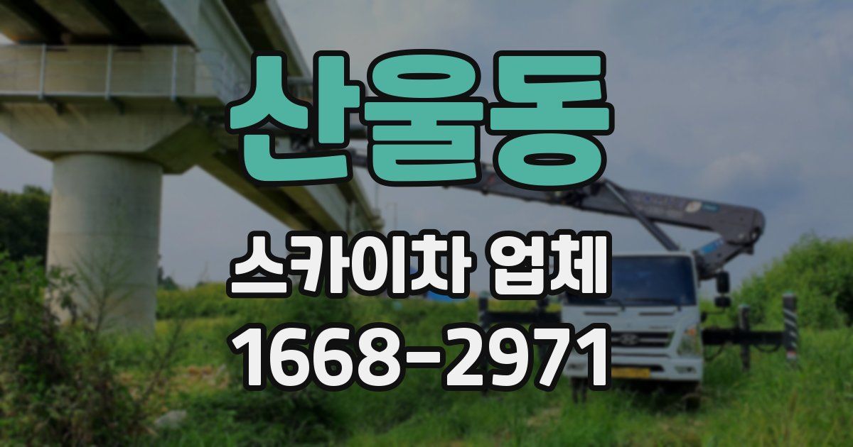 산울동 스카이차 업체
