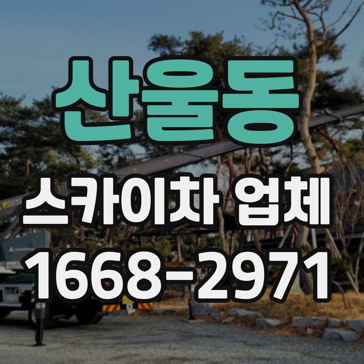 산울동 스카이차 업체