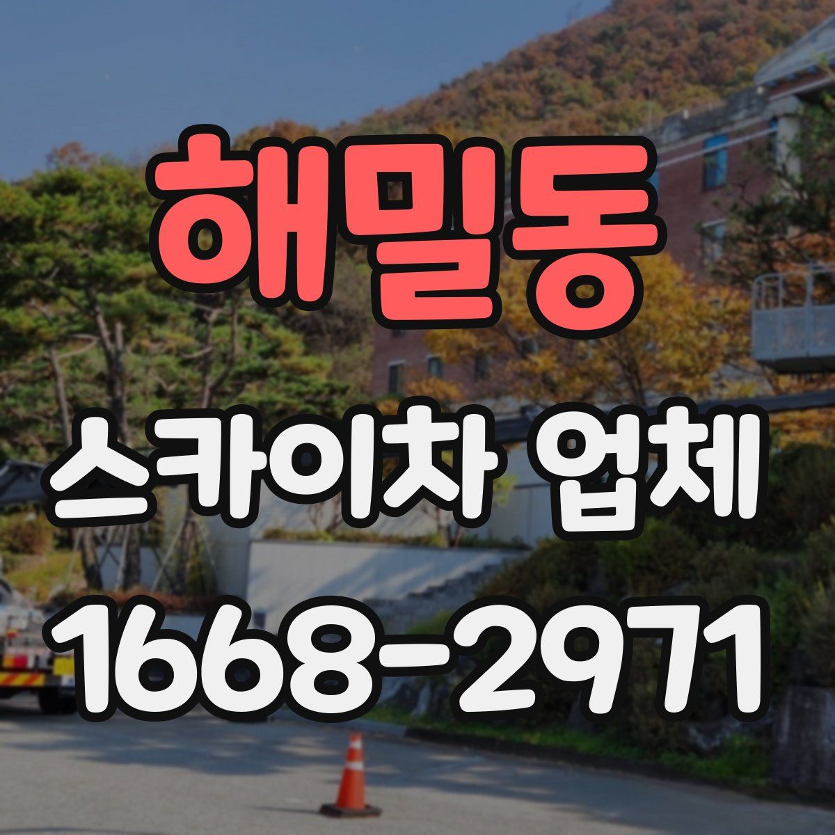 해밀동 스카이차 업체