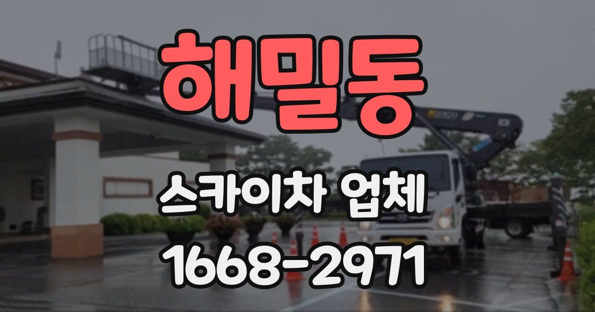 해밀동 스카이차 업체