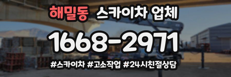 해밀동 스카이차 업체