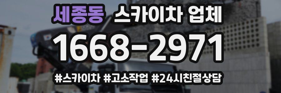 세종동 스카이차 업체