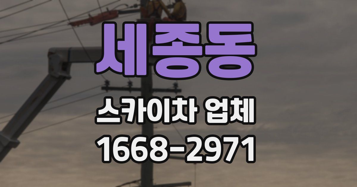 세종동 스카이차 업체