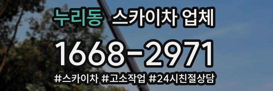 누리동 스카이차 업체