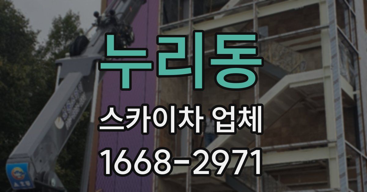 누리동 스카이차 업체