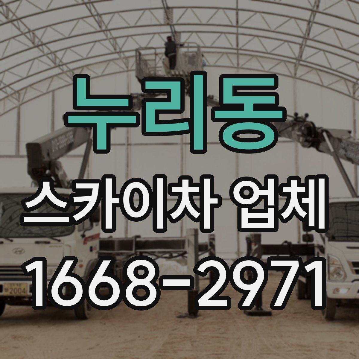 누리동 스카이차 업체