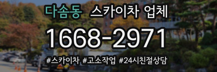 다솜동 스카이차 업체
