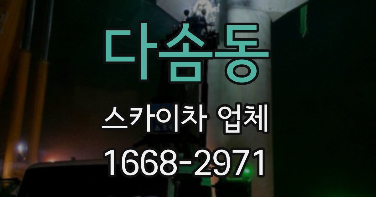 다솜동 스카이차 업체