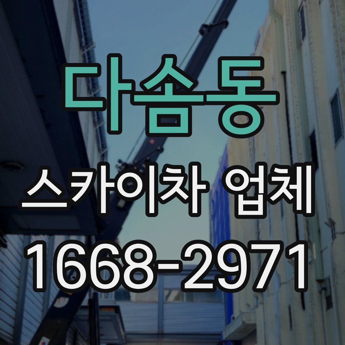 다솜동 스카이차 업체