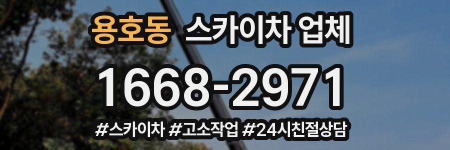 용호동 스카이차 업체