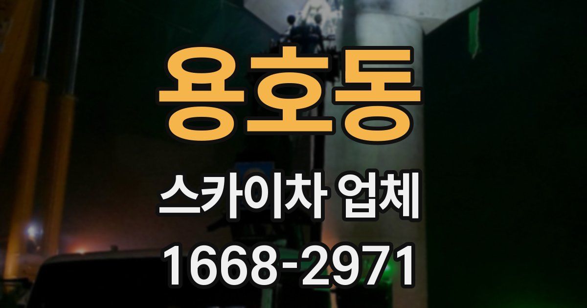 용호동 스카이차 업체