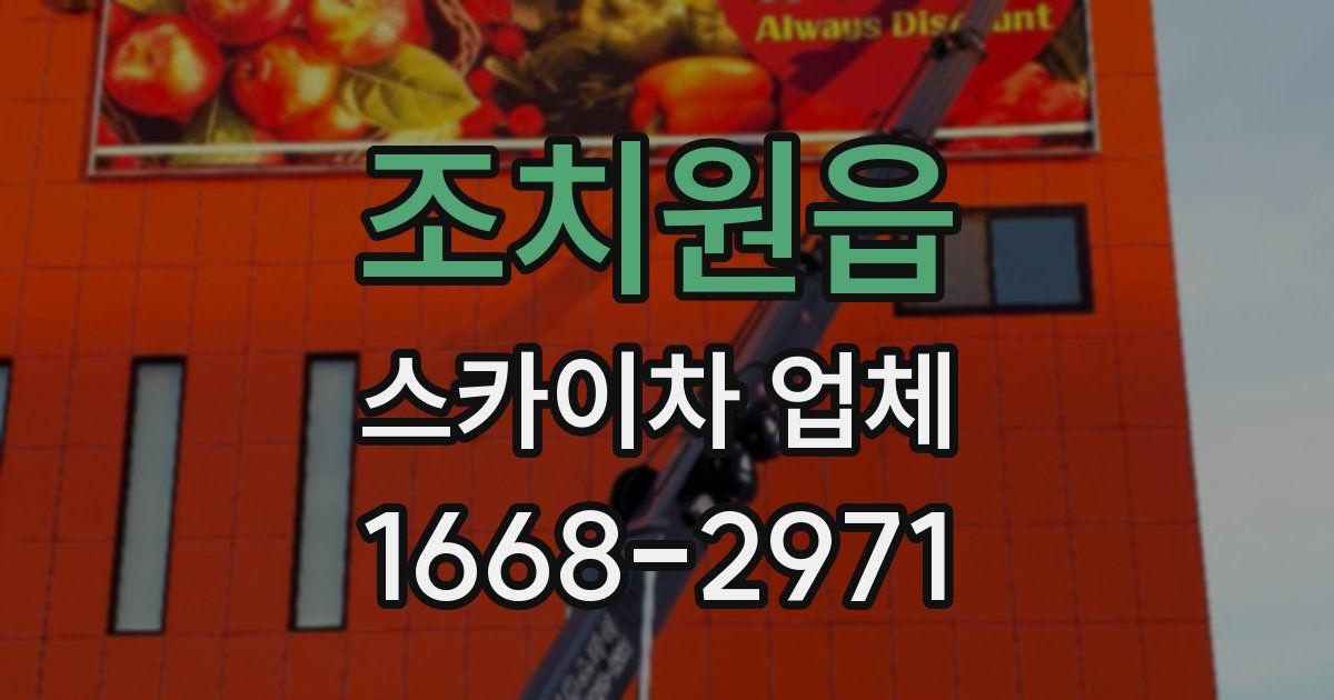 조치원읍 스카이차 업체