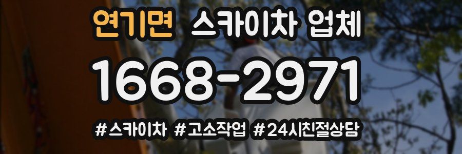 연기면 스카이차 업체