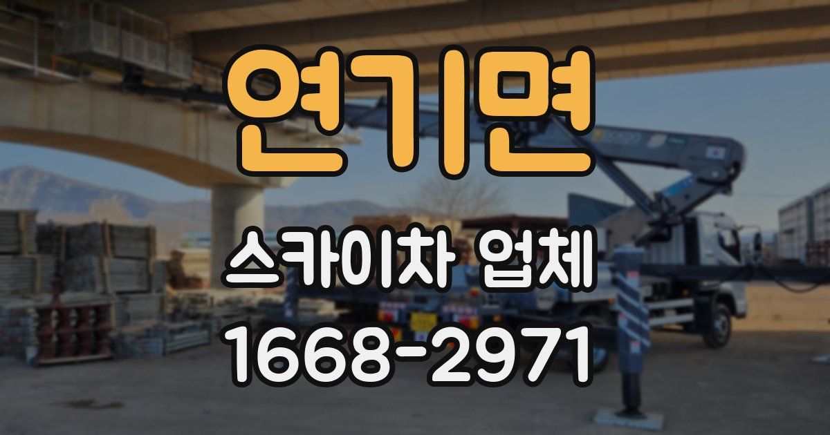 연기면 스카이차 업체