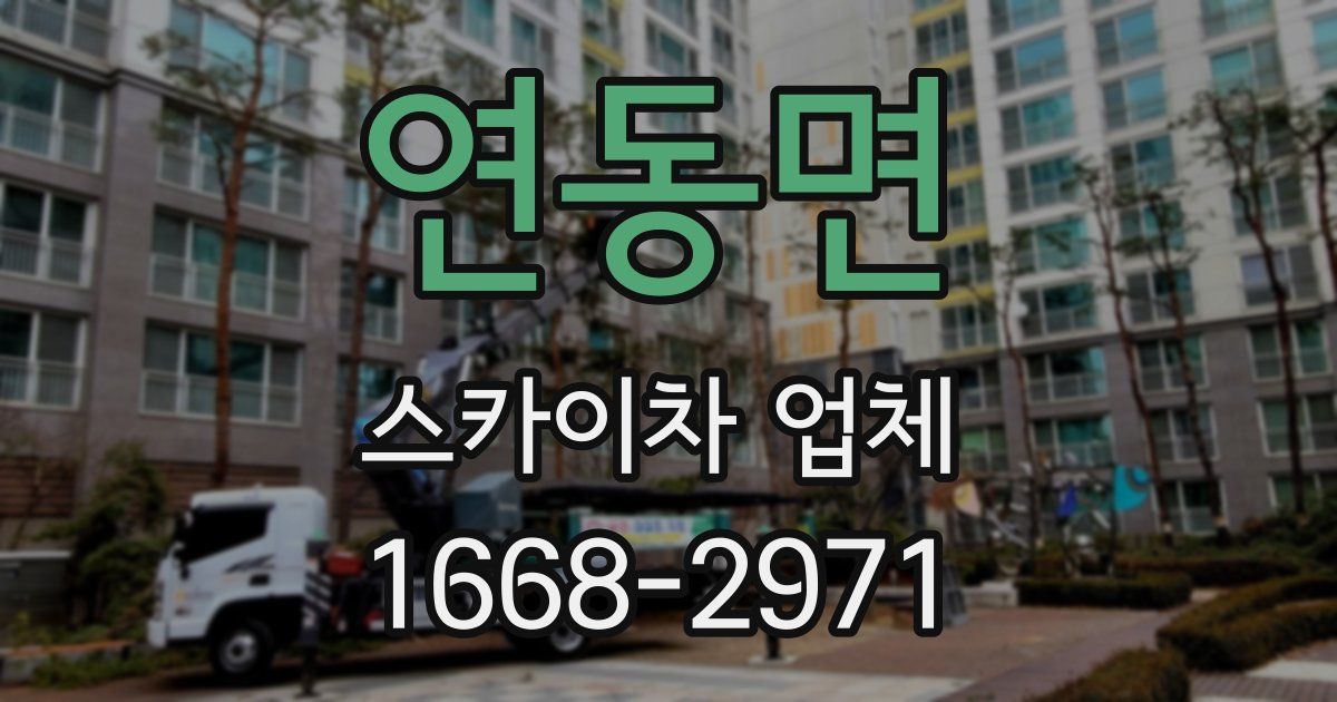 연동면 스카이차 업체