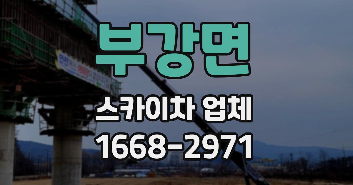 부강면 스카이차 업체