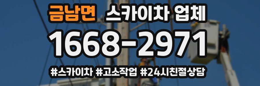 금남면 스카이차 업체