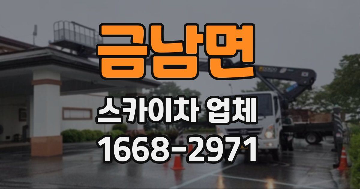 금남면 스카이차 업체