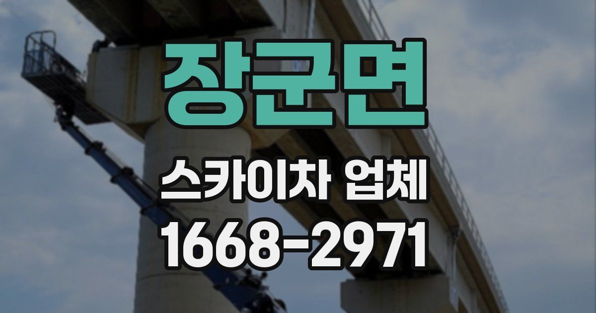 장군면 스카이차 업체