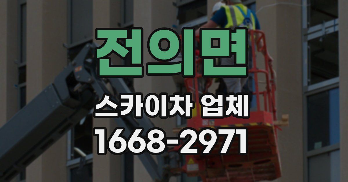 전의면 스카이차 업체
