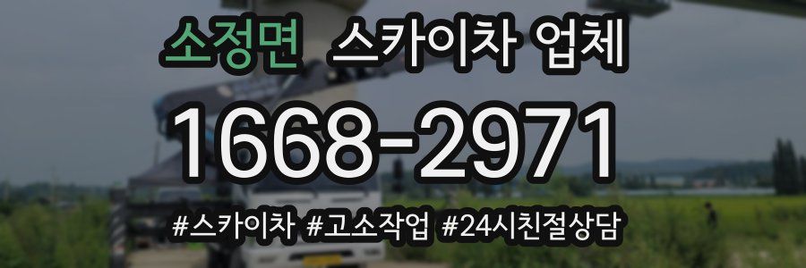 소정면 스카이차 업체