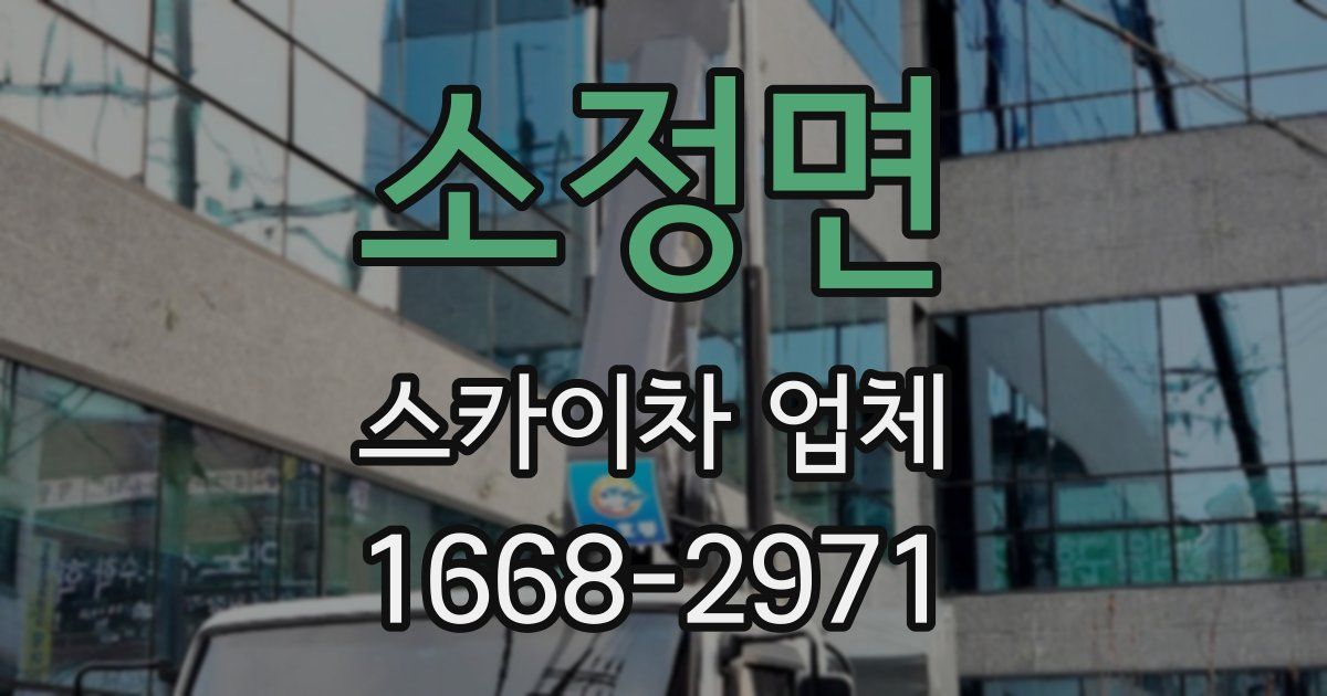 소정면 스카이차 업체