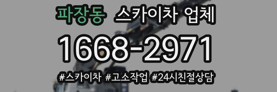 파장동 스카이차 업체