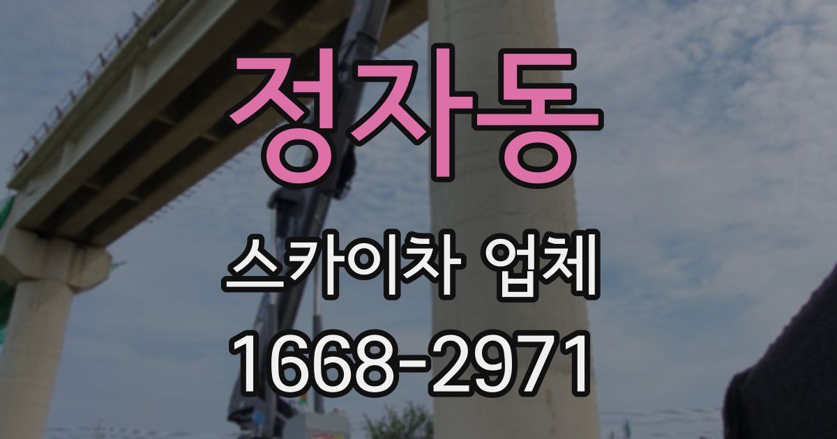 정자동 스카이차 업체