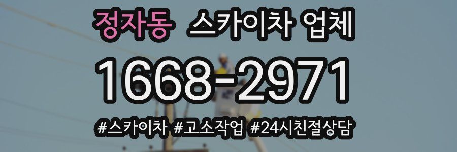정자동 스카이차 업체
