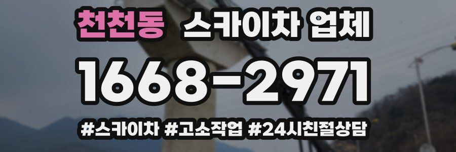 천천동 스카이차 업체