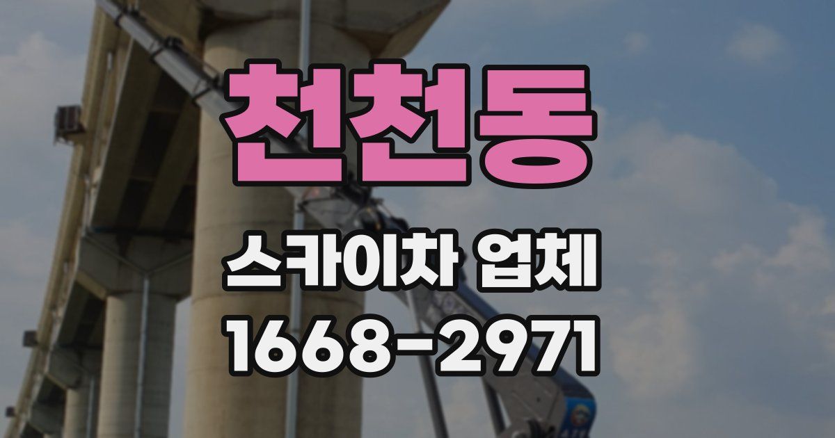 천천동 스카이차 업체